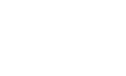 Netrebel